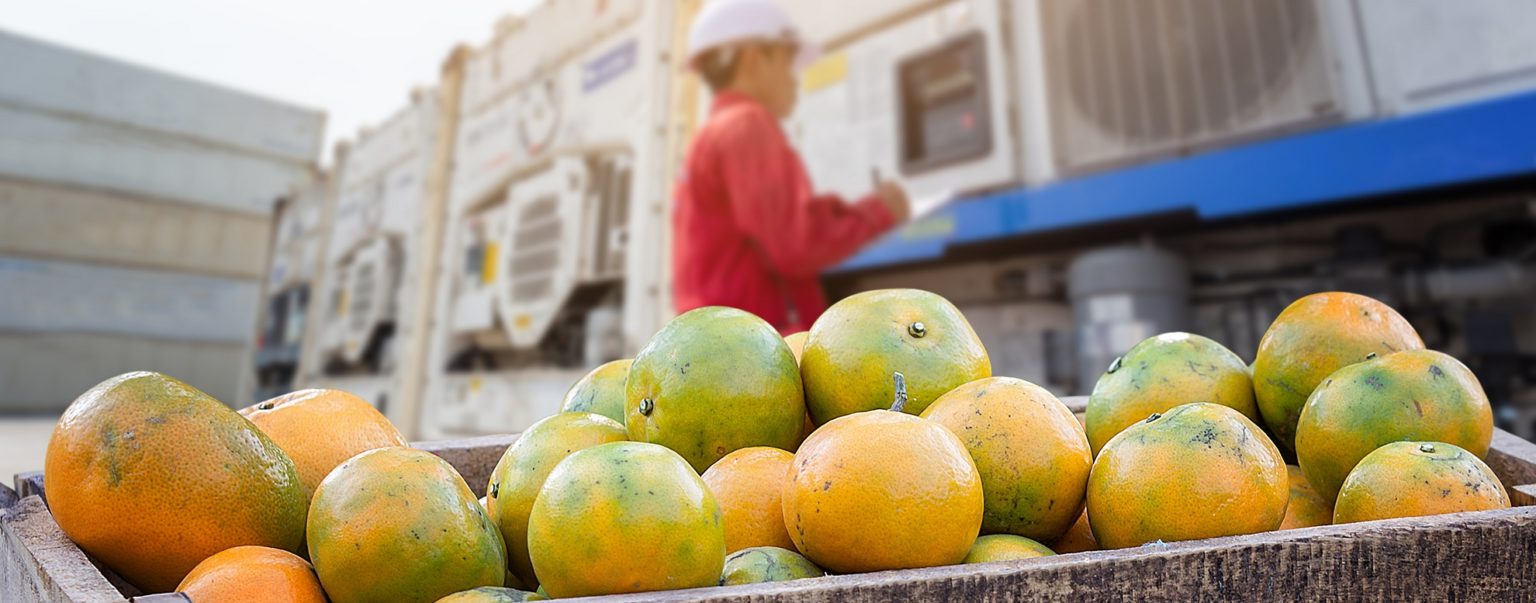 Orange Fruit and food distribution, tropical fruit of Thailand .Truck loaded with containers reefer control by ventilator mode to be shipped to the market